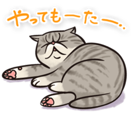 COOL CATS Sticker sticker #13530647