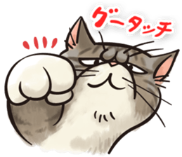 COOL CATS Sticker sticker #13530653