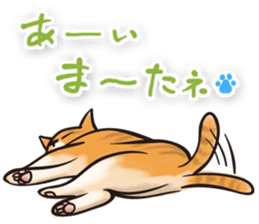 COOL CATS Sticker sticker #13530656