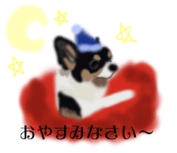 LOVE Shetland Sheepdog&Chihuahua 1 sticker #13530671