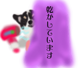 LOVE Shetland Sheepdog&Chihuahua 1 sticker #13530674