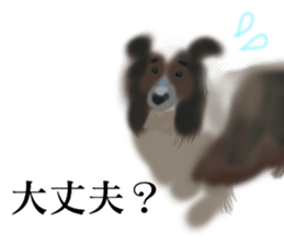 LOVE Shetland Sheepdog&Chihuahua 1 sticker #13530675