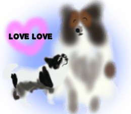 LOVE Shetland Sheepdog&Chihuahua 1 sticker #13530677
