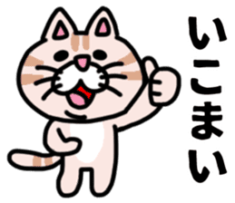 MIKAWABEN sticker pretty cat. sticker #13531204