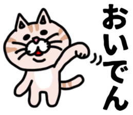 MIKAWABEN sticker pretty cat. sticker #13531207