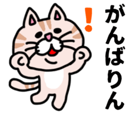 MIKAWABEN sticker pretty cat. sticker #13531208