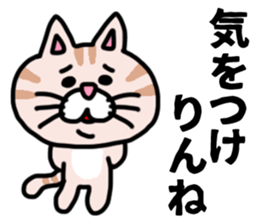 MIKAWABEN sticker pretty cat. sticker #13531209