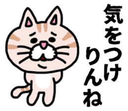 MIKAWABEN sticker pretty cat. sticker #13531209