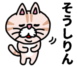 MIKAWABEN sticker pretty cat. sticker #13531211