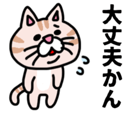 MIKAWABEN sticker pretty cat. sticker #13531213