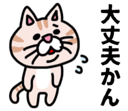 MIKAWABEN sticker pretty cat. sticker #13531213