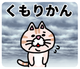 MIKAWABEN sticker pretty cat. sticker #13531236