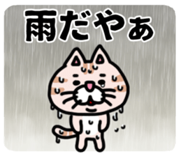 MIKAWABEN sticker pretty cat. sticker #13531237