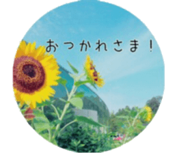 Flower life sticker #13531302