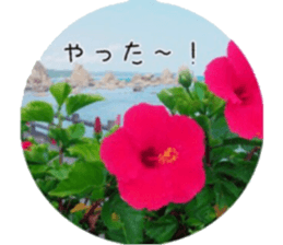 Flower life sticker #13531303