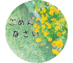 Flower life sticker #13531304