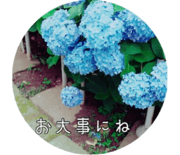 Flower life sticker #13531305