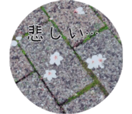 Flower life sticker #13531306