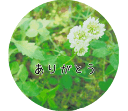 Flower life sticker #13531309