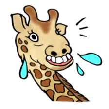 40animal sticker #13531718