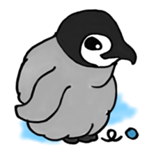 40animal sticker #13531728