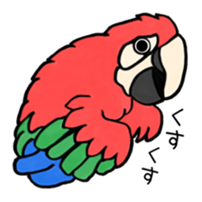 40animal sticker #13531737