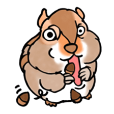 40animal sticker #13531740