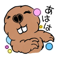 40animal sticker #13531741