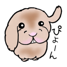 40animal sticker #13531749