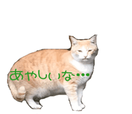 komugi fatcat sticker #13532299