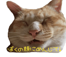 komugi fatcat sticker #13532302