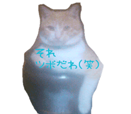 komugi fatcat sticker #13532311