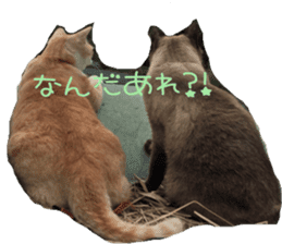 komugi fatcat sticker #13532313