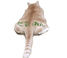 komugi fatcat sticker #13532315