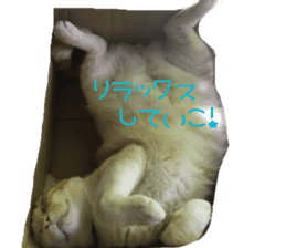 komugi fatcat sticker #13532318