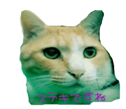 komugi fatcat sticker #13532333