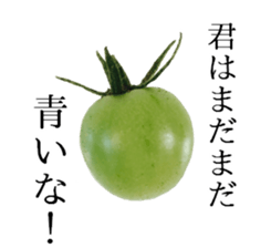 Be useful! Vegetables&fruits sticker #13533409