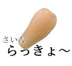 Be useful! Vegetables&fruits sticker #13533411