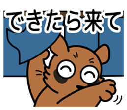 Drunkard racoon dog sticker #13534215