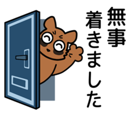 Drunkard racoon dog sticker #13534243