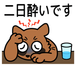 Drunkard racoon dog sticker #13534244
