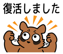 Drunkard racoon dog sticker #13534245