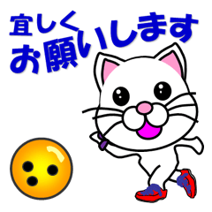 A white cat which bowls