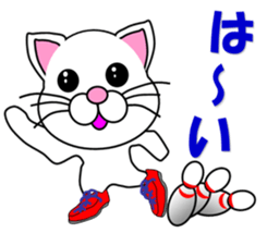 A white cat which bowls sticker #13534612