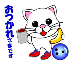 A white cat which bowls sticker #13534615