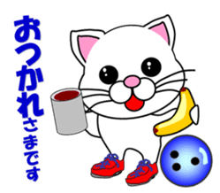 A white cat which bowls sticker #13534615