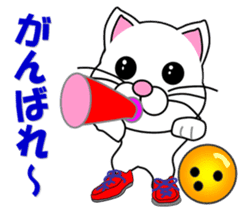 A white cat which bowls sticker #13534617
