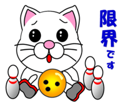 A white cat which bowls sticker #13534638