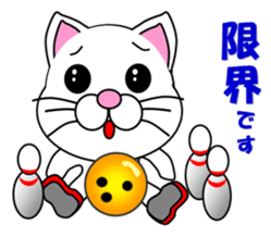 A white cat which bowls sticker #13534638