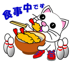A white cat which bowls sticker #13534641